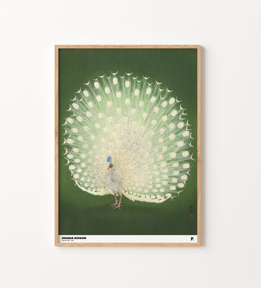 Ohara Koson - Peacock (1925 - 1936)